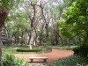 Botanical Gardens, Palmero, Buenos Aires.
