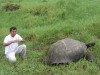 Giant Tortoise
