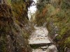 Original Inca path.
