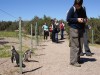 Penguins near Puerto Madryn