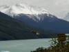 Unidentified bird of prey at the Perito Moreno Glacier