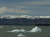 Icebergs in Lago Argentina