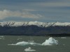 Icebergs in Lago Argentina

Trip: B.A. to L.A.
Entry: El Calafate
Date Taken: 22 Oct/02
Country: Argentina
Taken By: Mark
Viewed: 1433 times
Rated: 8.7/10 by 3 people