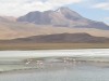 Flamingos in Southwest Bolivia

Trip: B.A. to L.A.
Entry: Salar de Uyuni
Date Taken: 02 Dec/02
Country: Bolivia
Taken By: Mark
Viewed: 1694 times
Rated: 10.0/10 by 2 people