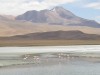 Flamingos in Southwest Bolivia

Trip: B.A. to L.A.
Entry: Salar de Uyuni
Date Taken: 02 Dec/02
Country: Bolivia
Taken By: Mark
Viewed: 2199 times
Rated: 10.0/10 by 2 people
