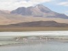 Flamingos in Southwest Bolivia

Trip: B.A. to L.A.
Entry: Salar de Uyuni
Date Taken: 02 Dec/02
Country: Bolivia
Taken By: Mark
Viewed: 1701 times
Rated: 10.0/10 by 2 people