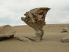 Petrified tree, Siloli Desert, Southwest Bolivia.
