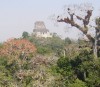 Temple 4, Tikal