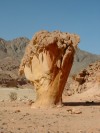 Mushroom Rock

Trip: Greece, Egypt and Africa
Entry: Sinai Peninsula
Date Taken: 01 Nov/03
Country: Egypt
Taken By: Travis
Viewed: 2016 times
Rated: 10.0/10 by 1 person