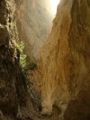 Saklikent Gorge

Trip: Greece, Egypt and Africa
Entry: Fethiye to Istanbul
Date Taken: 08 Oct/03
Country: Turkey
Taken By: Abi
Viewed: 1979 times
Rated: 10.0/10 by 1 person