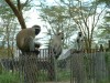 Vervet Monkeys

Trip: Greece, Egypt and Africa
Entry: Overland Tour - Kenya
Date Taken: 02 Dec/03
Country: Kenya
Taken By: Travis
Viewed: 1734 times
Rated: 10.0/10 by 1 person