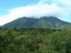 Gorilla Volcanoes

Trip: Greece, Egypt and Africa
Entry: Overland Tour -- Uganda
Date Taken: 11 Dec/03
Country: Uganda
Taken By: Travis
Viewed: 1912 times