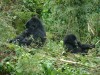 Female and Three Year Old

Trip: Greece, Egypt and Africa
Entry: Overland Tour -- Uganda
Date Taken: 11 Dec/03
Country: Uganda
Taken By: Travis
Viewed: 1664 times