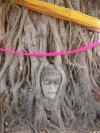 Buddha head caught in the roots of a tree, Wat Mahathat.

Trip: Brunei to Bangkok
Entry: Ayutthaya
Date Taken: 29 Dec/03
Country: Thailand
Taken By: Mark
Viewed: 1519 times
Rated: 1.0/10 by 1 person