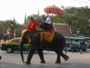 Elephant, Ayutthaya

Trip: Brunei to Bangkok
Entry: Ayutthaya
Date Taken: 29 Dec/03
Country: Thailand
Taken By: Mark
Viewed: 1418 times