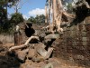 Tree destroying wall at Ta Prohm, Angkor

Trip: Brunei to Bangkok
Entry: Angkor Wat
Date Taken: 04 Jan/04
Country: Cambodia
Taken By: Mark
Viewed: 1915 times
Rated: 6.5/10 by 2 people