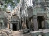 Ta Prohm, Angkor