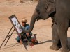 Elephant painting, Chiang Mai