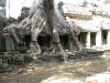 Tree growing over temple, Angkor

Trip: Brunei to Bangkok
Entry: Angkor Wat
Date Taken: 05 Jan/04
Country: Cambodia
Taken By: Laura
Viewed: 2064 times
Rated: 8.3/10 by 6 people