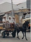 Working and Enjoying

Trip: Cali, Colombia, Another World
Entry: Los Amigos
Date Taken: No Data
Country: Columbia
Taken By: Nohra
Viewed: 2170 times
Rated: 8.0/10 by 1 person