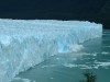 Perito Moreno

Trip: South America
Entry: Glaciers
Date Taken: 09 Mar/03
Country: Argentina
Taken By: Travis
Viewed: 1891 times
Rated: 9.1/10 by 15 people