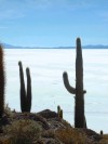 Salar de Uyuni