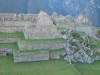 des pierres

Trip: Tour du monde 2003 : enfin le voila
Entry: CUZCO - Machu Pichu
Date Taken: 29 May/03
Country: Peru
Taken By: bsoubrane
Viewed: 2273 times
Rated: 9.2/10 by 5 people