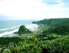 View of Piha Beach