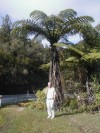 Ponga Tree Fern

Trip: Round the World in 5 Weeks
Entry: New Zealand
Date Taken: 05 Sep/03
Country: New Zealand
Taken By: Sheila
Viewed: 1556 times
Rated: 8.0/10 by 1 person