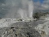 Geysers in Rotorua