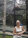 Zoo and Botanical Gardens

Trip: Round the World in 5 Weeks
Entry: Hong Kong
Date Taken: 23 Sep/03
Country: Hong Kong
Taken By: John
Viewed: 2368 times
Rated: 3.0/10 by 1 person